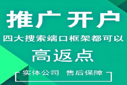 行业领先SEM托管代运营案例